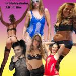 Jahres Silvester Bunny Party am 27.12 in Heidesheim. Angebote sie-sucht-ihn